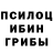 Галлюциногенные грибы MAGIC MUSHROOMS Max Shoshorin