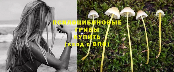 СК Алзамай